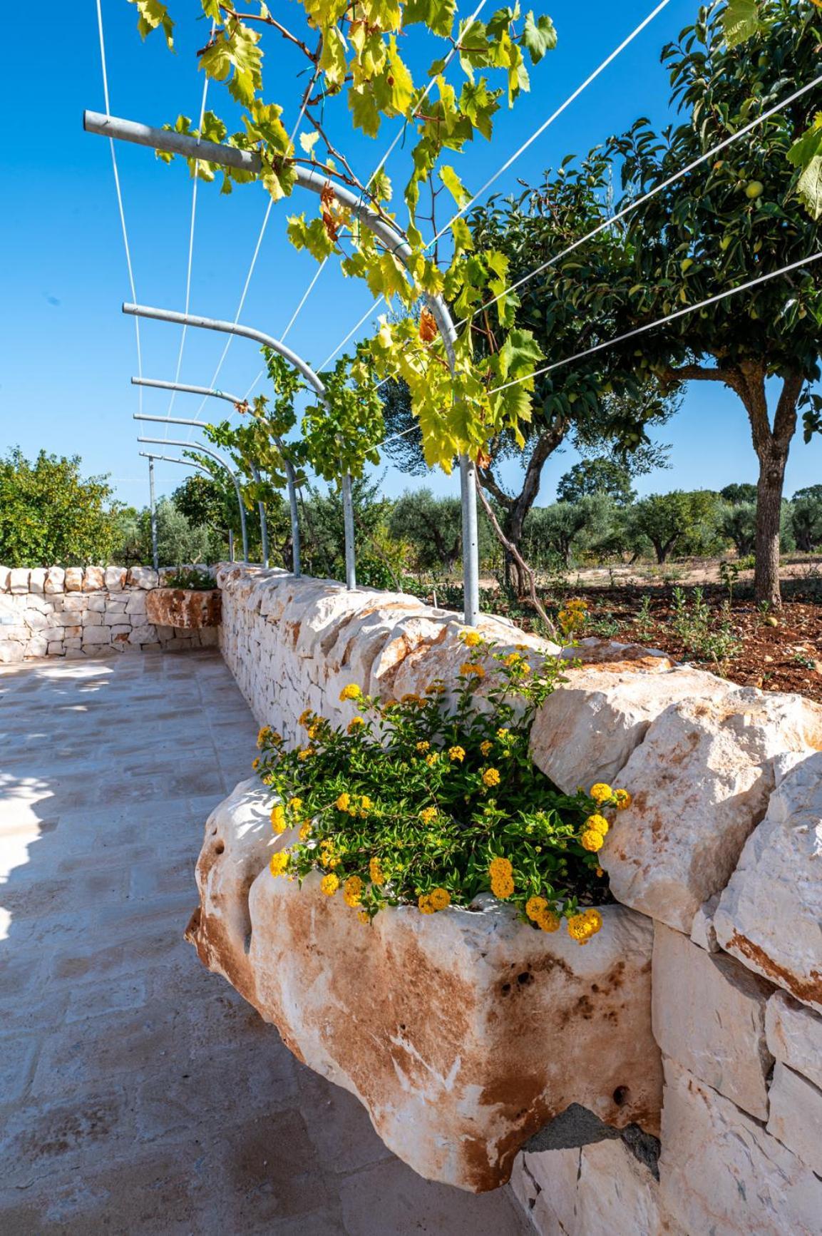 Bed And Breakfast Trulli San Leonardo อัลเบโรเบลโล ภายนอก รูปภาพ